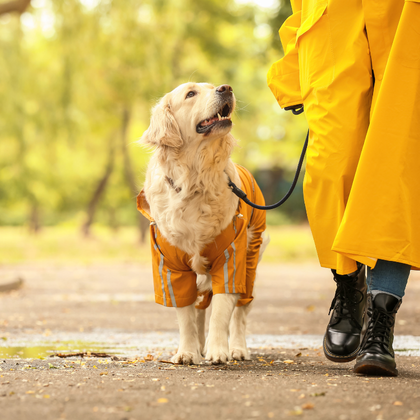 Informal Mindfulness Practice